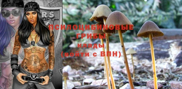 дурь Арсеньев