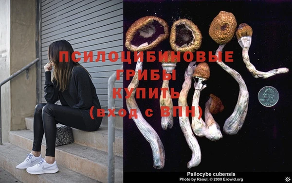 дурь Арсеньев