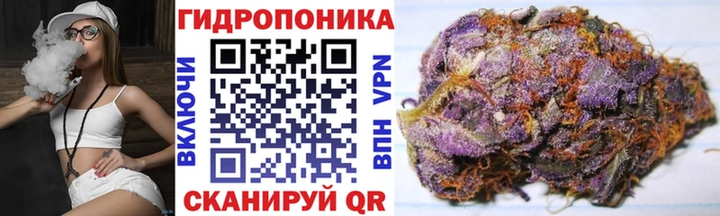 Канабис конопля  Нея 